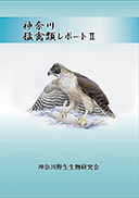 神奈川猛禽類レポート2